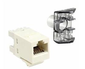 1-1375055-3-Cat6-UTP-RJ45-SL-Jack---White-(35591)